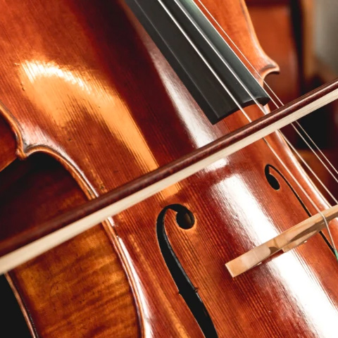 cello