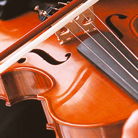 Violin 