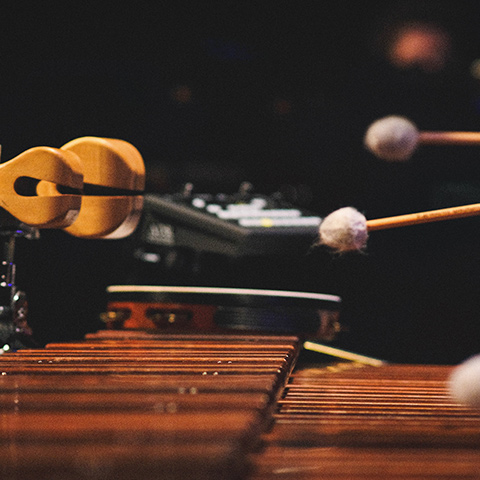 Percussion instruments 