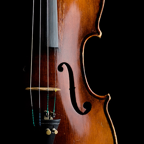 Violin