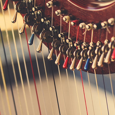Harp