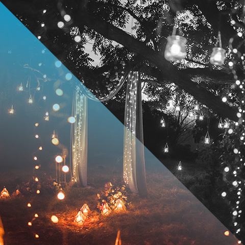 Enchanted Garden 