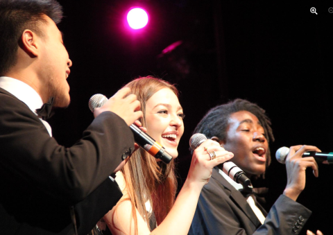 Singers Night