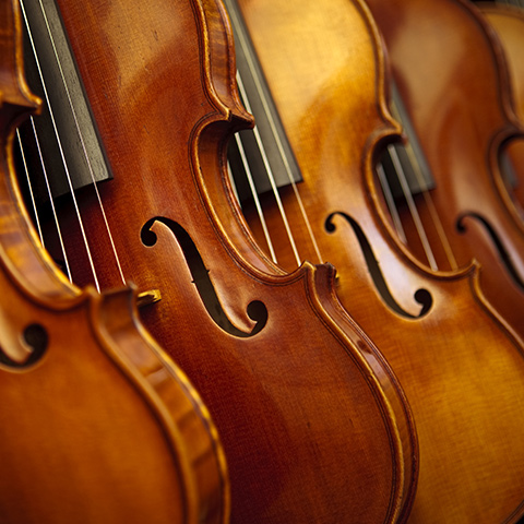  a row of cellos 