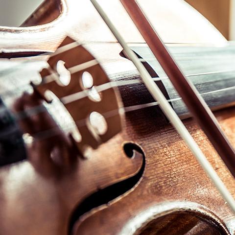 Viola 