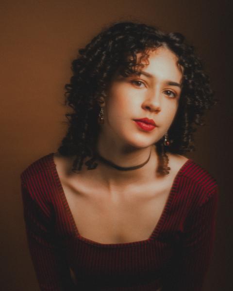 Pilar Ibáñez